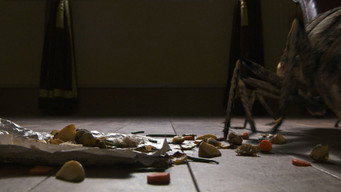Перетворення (2012)