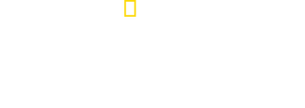 National Geographic Presents: IMPACT with Gal Gadot logo
