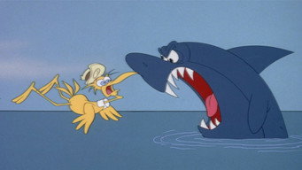Barnacle Bird