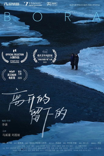 Bora (2025) official movie poster