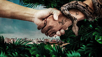 #7 Blood Pact