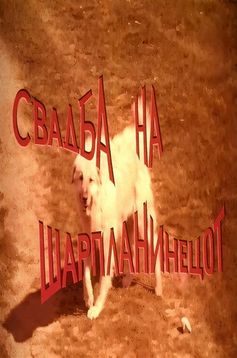 The Wedding of the Sharplaninec (1970)