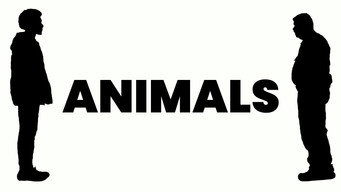 ANIMALS media image