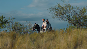 Galeria 5 - Los delincuentes