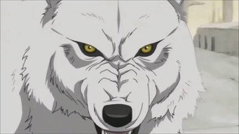 #8 Вовчий дощ