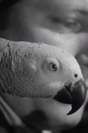 A Journal of the Outdoors No. 11 (1953) A Journal of the Outdoors No. 11 (1953)