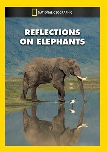 Reflections on Elephants