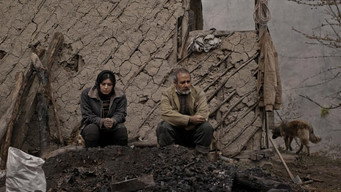 The Charcoal (2019)