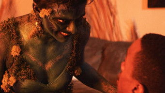 Episode 4 — Genie in a Bong