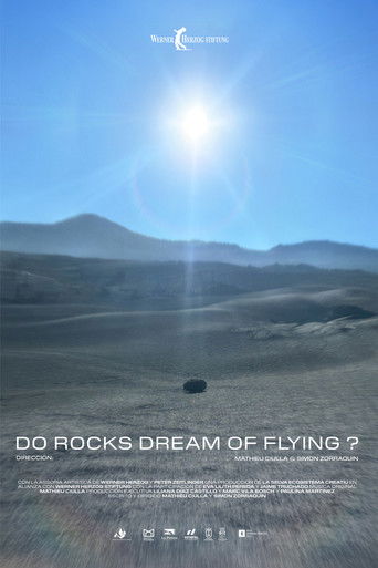 Do Rocks Dream of Flying ? (2025)