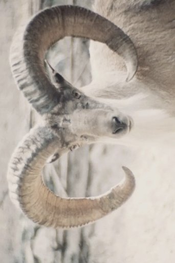 Paradies der Tiere (1979)