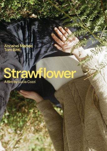 Strawflower (1970)