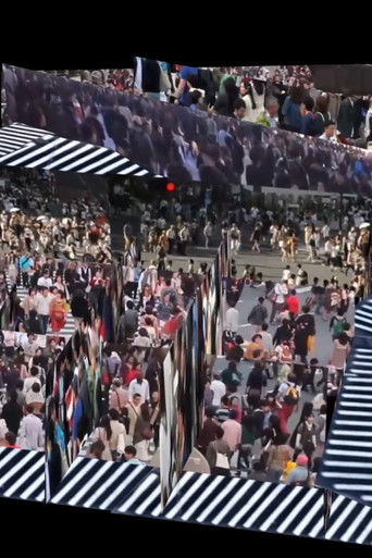 A Crossing Plane poster