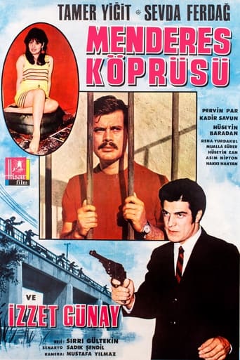 Poster of Menderes Köprüsü