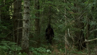 In a Violent Nature 2