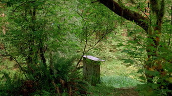 #11 Humboldt County