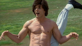 Kung Pow: Enter the Fist backdrop 7