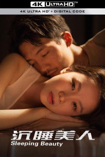 沉睡美人 poster