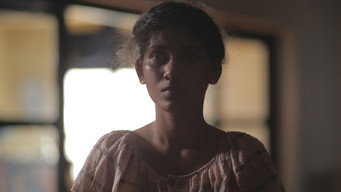 Silence in the Courts (2015)