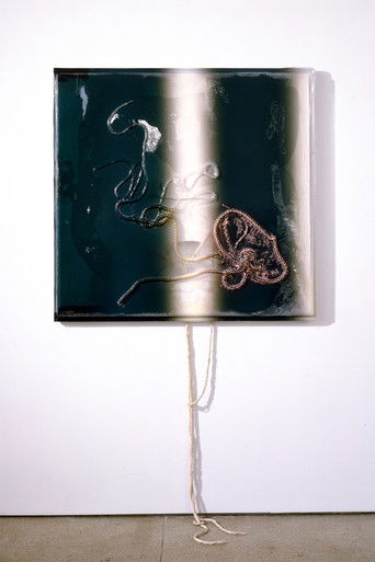 Redistribution (2019)