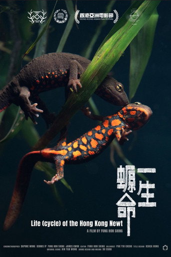 Life (cycle) of the Hong Kong Newt (2024)