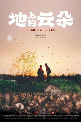 地上的云朵