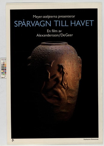 Sp&aring;rvagn till havet (1987)