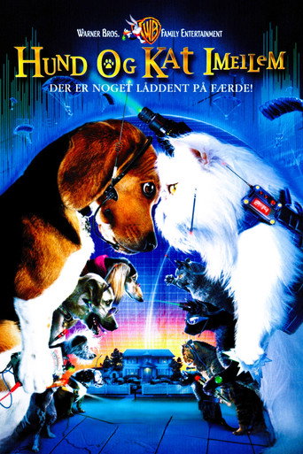 Hund og kat imellem