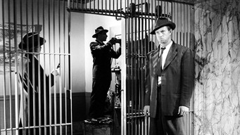 Still 7 from The Asphalt Jungle
