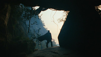 #17 Raavanan