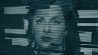 Fugitive: The Mystery of the Crypto Queen (2024)