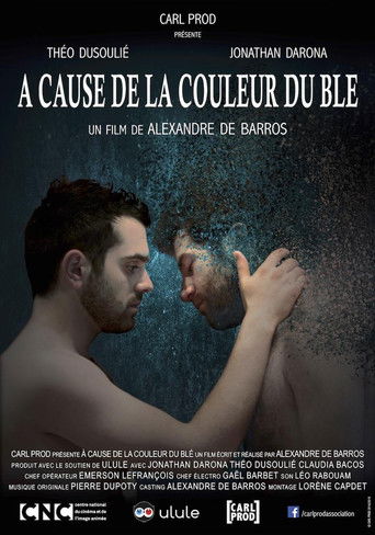 Because of the Colour of Wheat poster