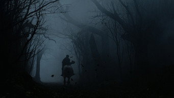 #38 Сонна лощина
