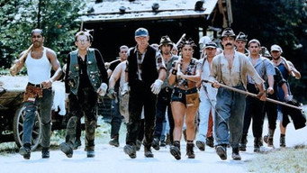Helden in Tirol (1998)