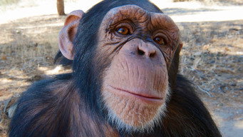 #5 Super Cute Animals