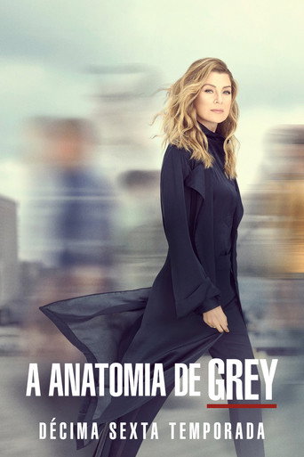 Grey’s Anatomy: Season 16
