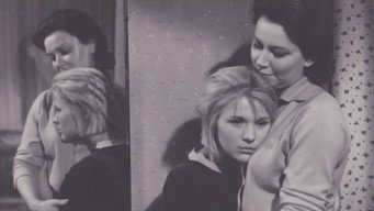 Дикий собака дінго (1962)