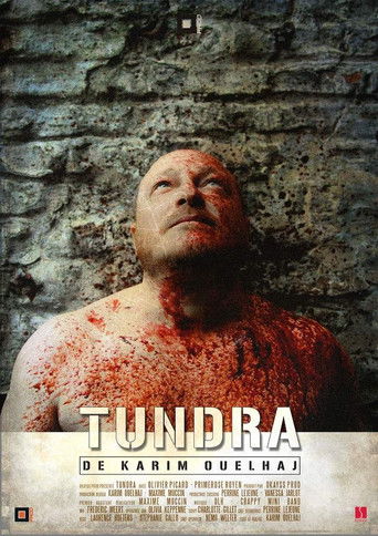 movie poster for Tundra