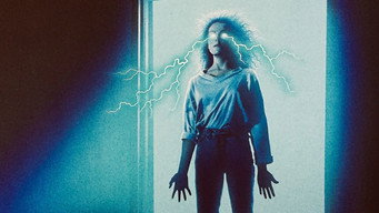 The 13th Floor (1988)