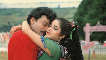 Rowdy Alludu (1991)