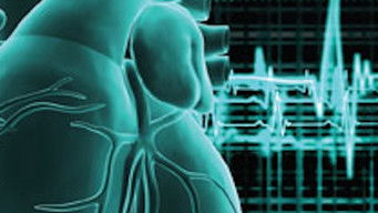 Episode 22 — Episode 22