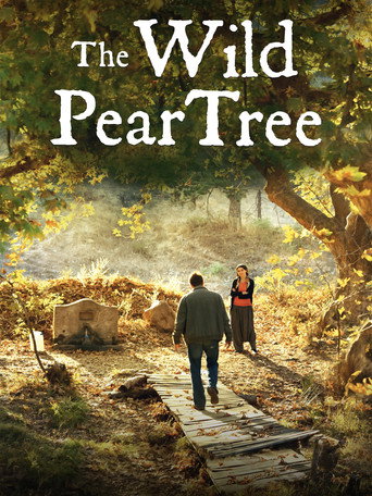 The Wild Pear Tree