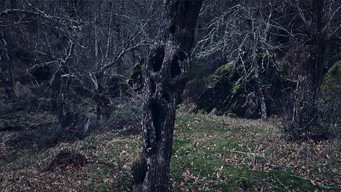 Thirty Souls (2017)