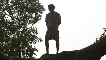 #9 Bison Kaalamaadan
