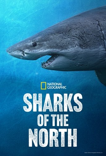 Sharks of the North