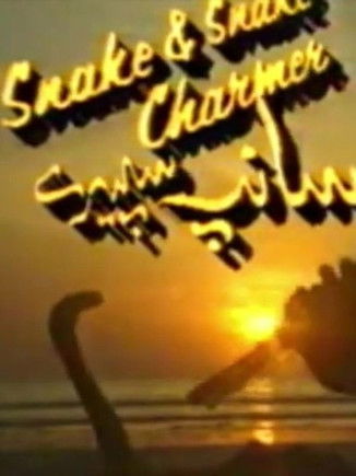 Snakes And Snake Charmers poster