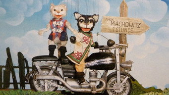#1 Kater Mikesch