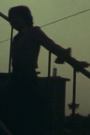 Purple Haze Blues (1979)