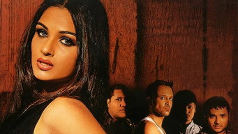 Paanch (2003)