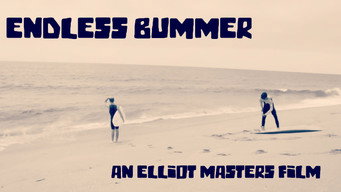 Endless Bummer (2019)